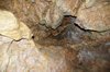 Grotta (71)