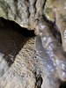 Grotta (9)