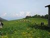 IMG_6406