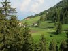 IMG_6388