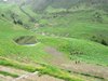 IMG_6435