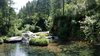 IMG-20180705-WA0006
