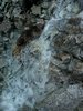 IMG_20180606_100838