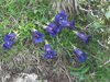 IMG_20180606_111954