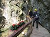 Luina (17)