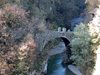 DSCN1338