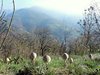 DSCN1352