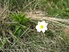 IMG_20180516_105453