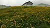 IMG-20180516-WA0001