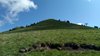 IMG-20180516-WA0005