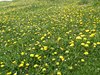 IMG_20180516_133855