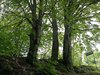 IMG_20180516_143640