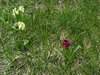 IMG_20180516_135607