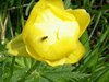 IMG_20180516_135438