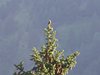 DSCF7401