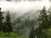 DSCF7535