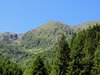 DSCN9570