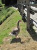 R_IMG_1700