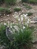 2018-05-19 AG_notte bianca (20)