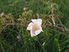 2018-05-19 AG_notte bianca (22)
