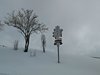 IMG-20180322-WA0020