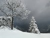 IMG-20180322-WA0005