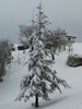 IMG-20180322-WA0004