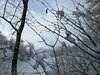 IMG-20180322-WA0023
