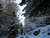 IMG-20181122-WA0004