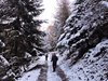 DSCN1464