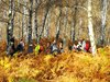 IMG-20181122-WA0003