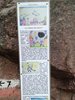 IMG-20180524-WA0015