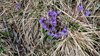 IMG-20180523-WA0006