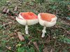 IMG_20180923_160332