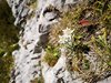IMG_20180923_111132