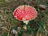 IMG_20180923_160346