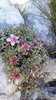 IMG-20180923-WA0003