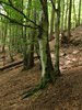 2018-06-17 Laghi Valgoglio CAI (88)