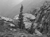 2018-06-17 Laghi Valgoglio CAI (80)