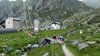 IMG-20180618-WA0031