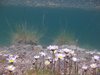 2018-06-17 Valgoglio_sub (6)