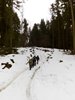 Monte Colombina (20)