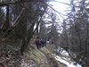 Monte Colombina (76)