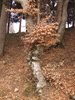 Monte Colombina (8)