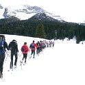 K20_9888.JPG