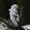 K20_9897.JPG