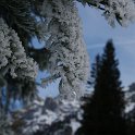 K20_9899.JPG