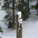 K20_9900.JPG