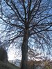 R_IMG_2026