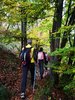 In cammino nel bosco